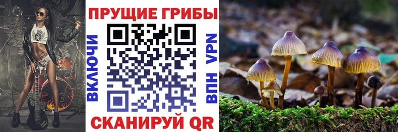 Галлюциногенные грибы MAGIC MUSHROOMS  Холмск 